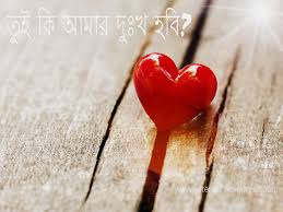 তুই কি আমার দুঃখ হবি..?