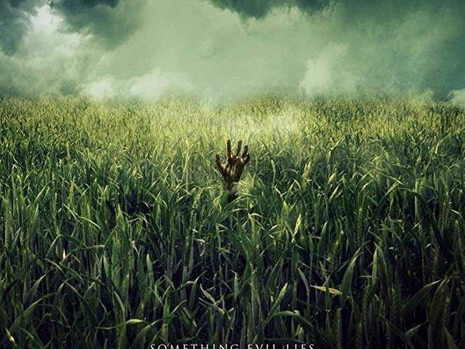 In the Tall Grass 2019