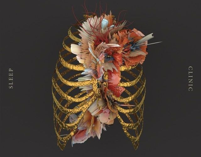 Lung