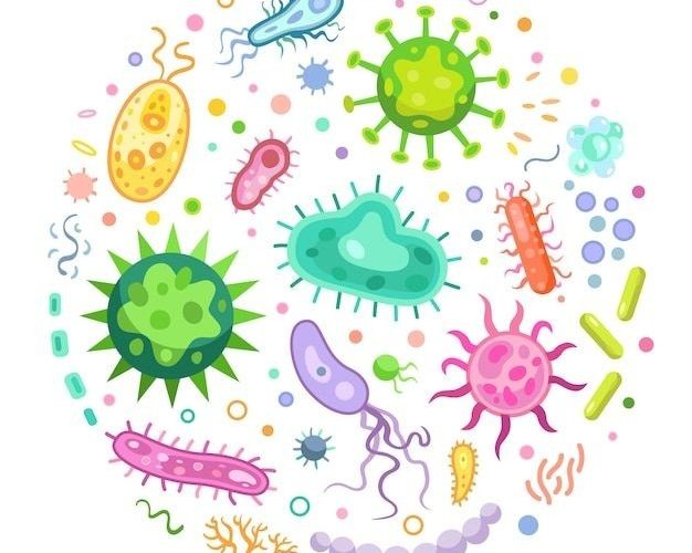 Microbiome