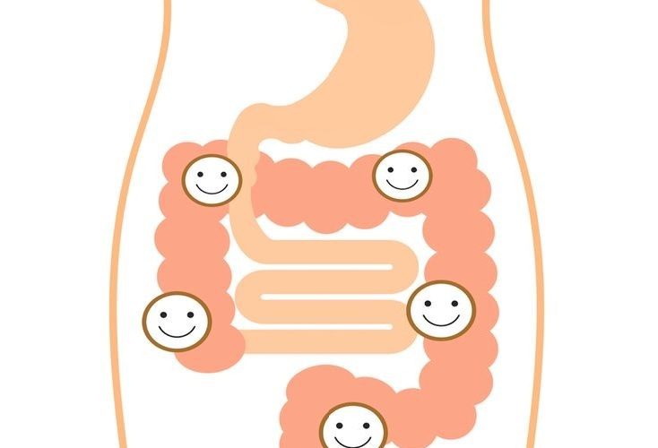 Who Live on Our Body