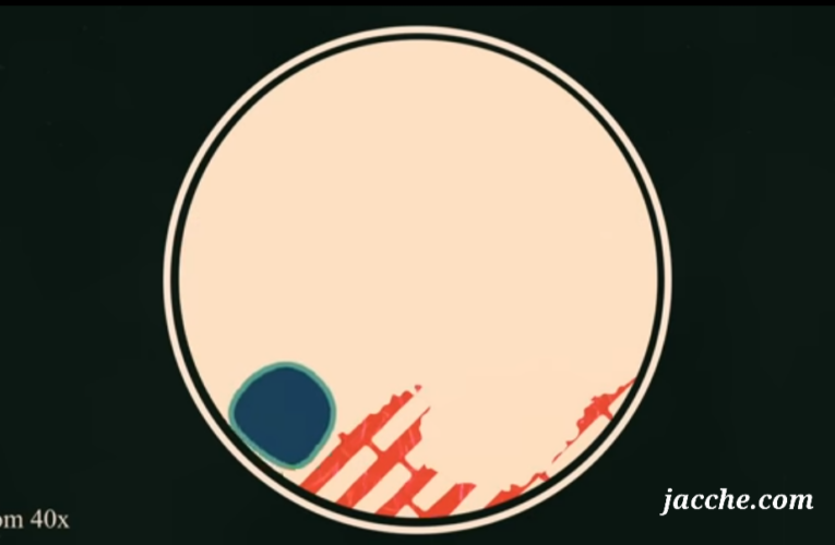 Plastic Degrading Microbes