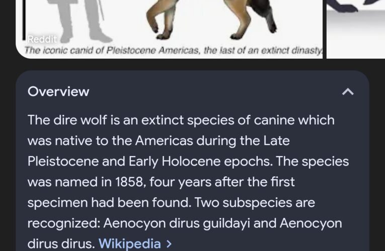 Dire Wolves Back From Extinction? ABC News Exclusive!